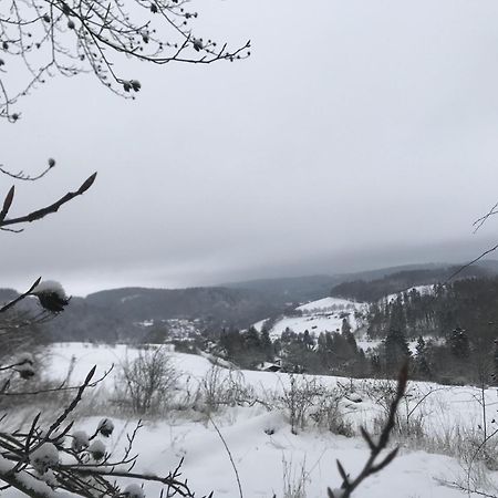 Bergchalet La Roubine Willingen Neerdar Buitenkant foto