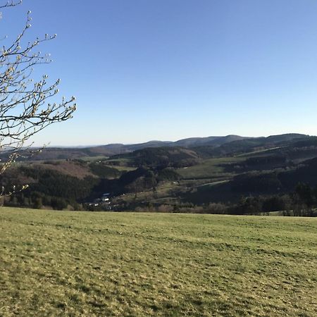 Bergchalet La Roubine Willingen Neerdar Buitenkant foto