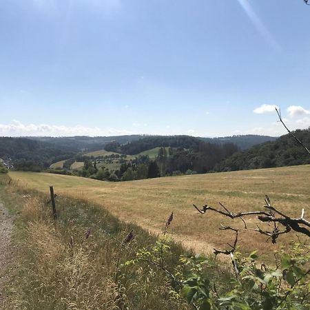 Bergchalet La Roubine Willingen Neerdar Buitenkant foto