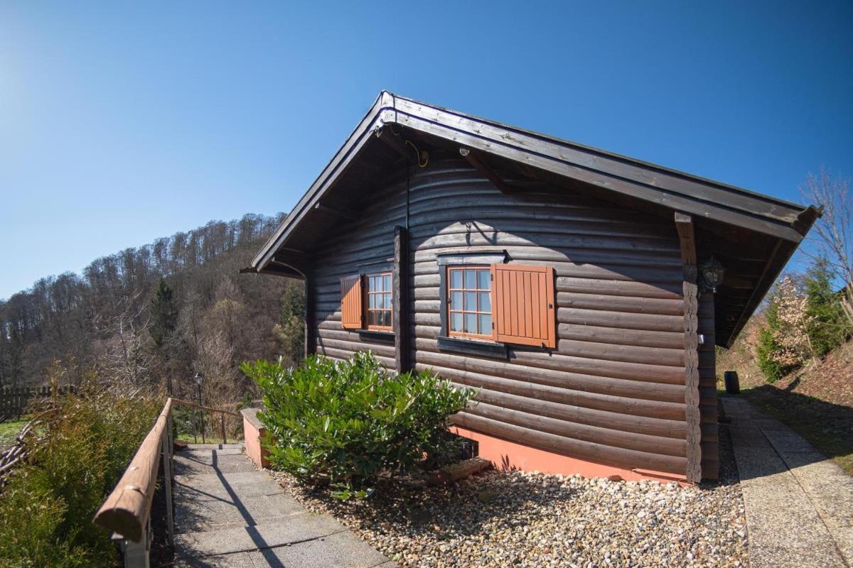 Bergchalet La Roubine Willingen Neerdar Buitenkant foto