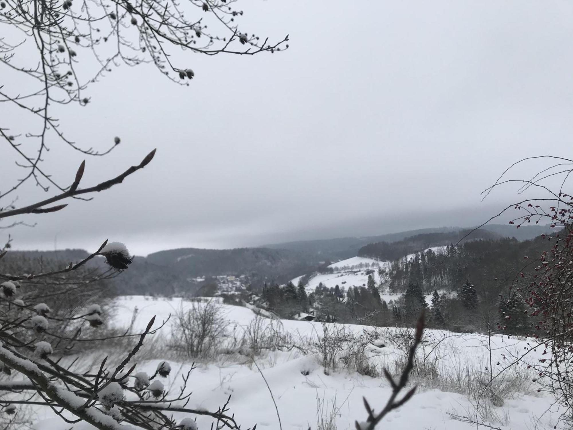 Bergchalet La Roubine Willingen Neerdar Buitenkant foto