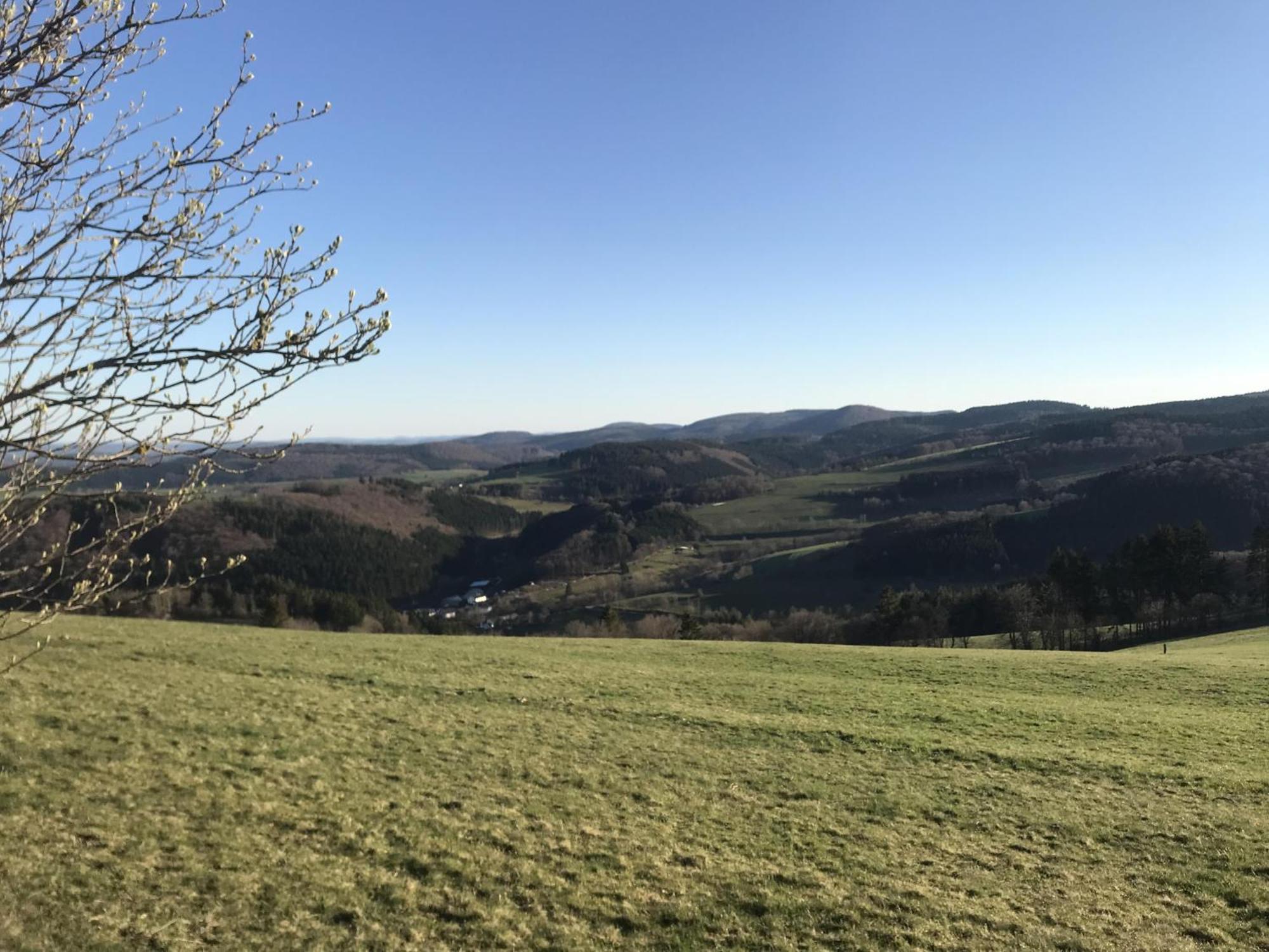 Bergchalet La Roubine Willingen Neerdar Buitenkant foto