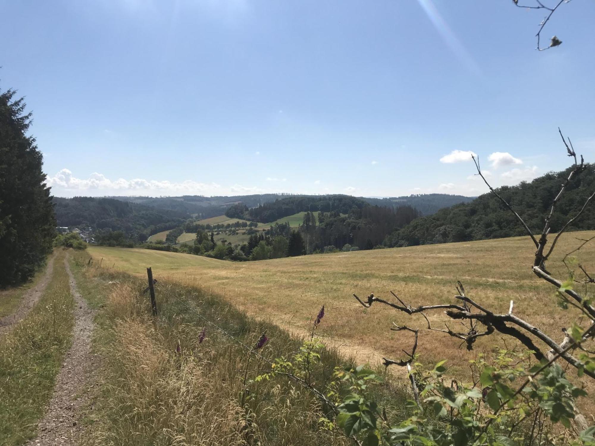 Bergchalet La Roubine Willingen Neerdar Buitenkant foto